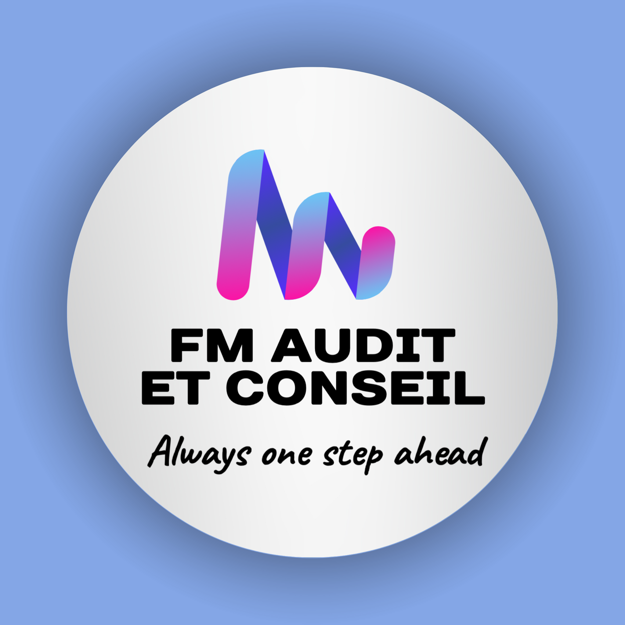 FM Audit & Conseil
